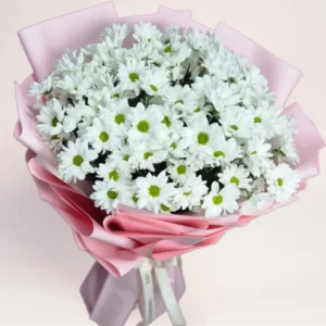 11 ромашковидных хризантем