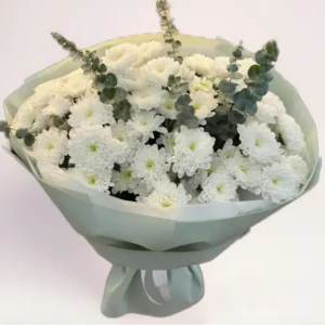 31 белая хризантема Алматы