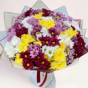 31 хризантема микс Алматы