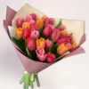 35 микс тюльпанов