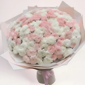 51 хризантема микс Алматы