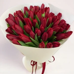 51 красный тюльпан Алматы