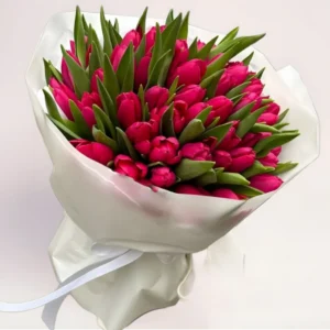 51 малиновый тюльпан Алматы
