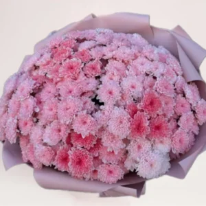 51 розовая хризантема в Алматы