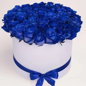 51 синяя роза в коробке Алматы