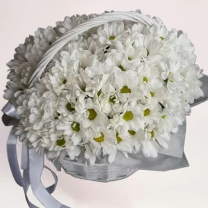 корзина ромашковидных хризантем Алматы