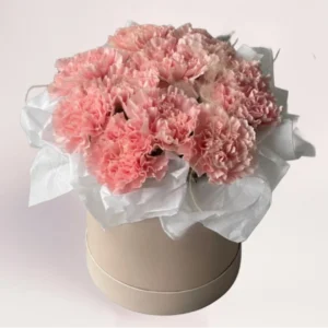 Цветы в коробке с розовыми гвоздиками